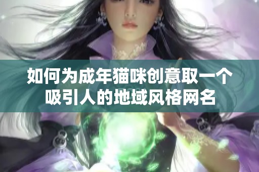 如何为成年猫咪创意取一个吸引人的地域风格网名