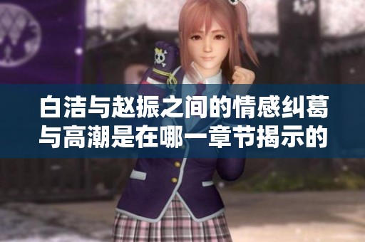 白洁与赵振之间的情感纠葛与高潮是在哪一章节揭示的