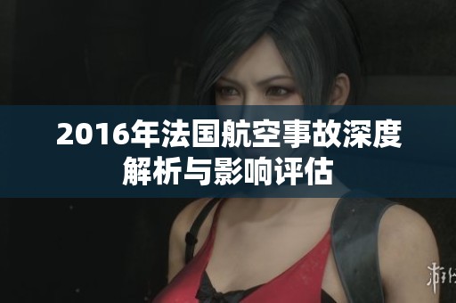 2016年法国航空事故深度解析与影响评估