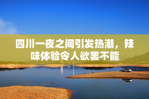 四川一夜之间引发热潮，辣味体验令人欲罢不能