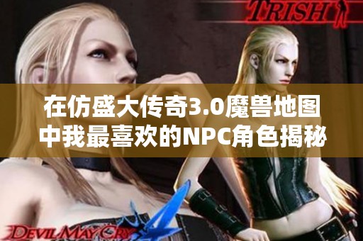 在仿盛大传奇3.0魔兽地图中我最喜欢的NPC角色揭秘