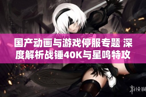 国产动画与游戏停服专题 深度解析战锤40K与星鸣特攻的影响