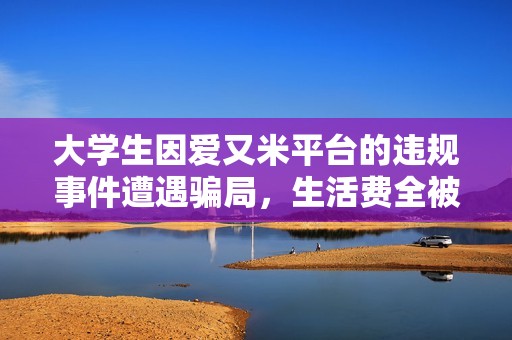 大学生因爱又米平台的违规事件遭遇骗局，生活费全被骗走