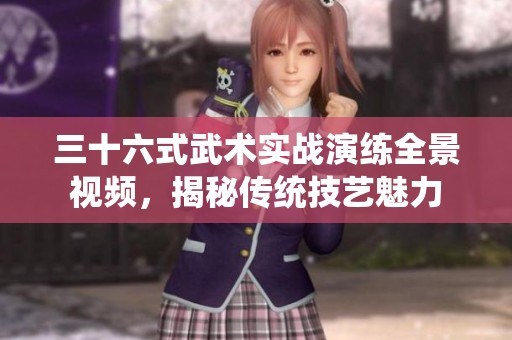 三十六式武术实战演练全景视频，揭秘传统技艺魅力