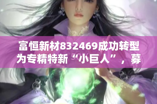 富恒新材832469成功转型为专精特新“小巨人”，募投前景广阔