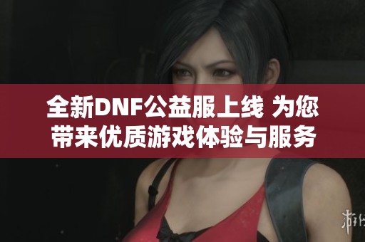 全新DNF公益服上线 为您带来优质游戏体验与服务