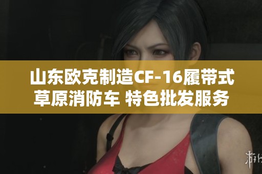 山东欧克制造CF-16履带式草原消防车 特色批发服务
