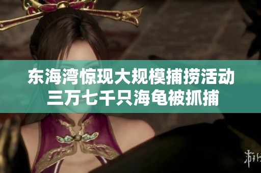 东海湾惊现大规模捕捞活动 三万七千只海龟被抓捕