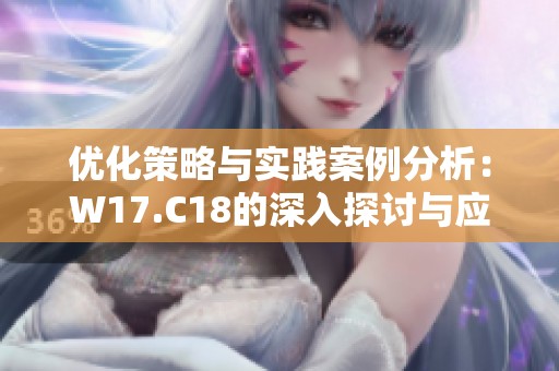 优化策略与实践案例分析：W17.C18的深入探讨与应用