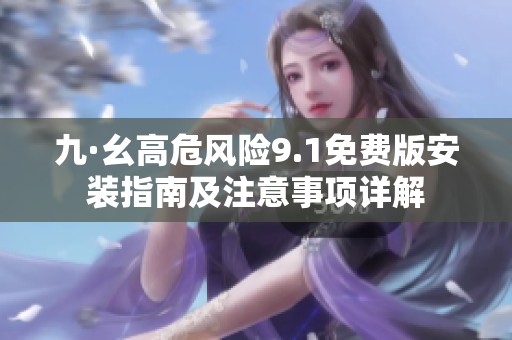 九·幺高危风险9.1免费版安装指南及注意事项详解
