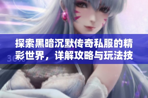 探索黑暗沉默传奇私服的精彩世界，详解攻略与玩法技巧