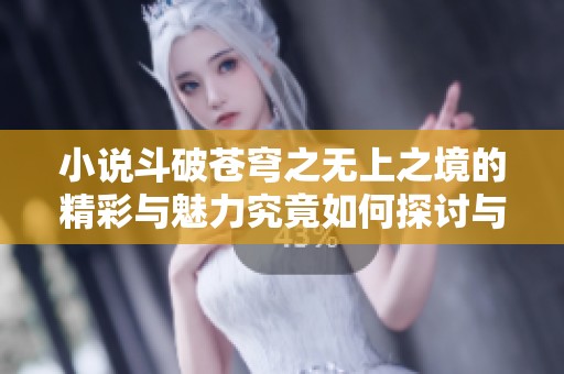 小说斗破苍穹之无上之境的精彩与魅力究竟如何探讨与分析