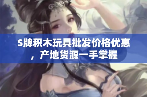 S牌积木玩具批发价格优惠，产地货源一手掌握