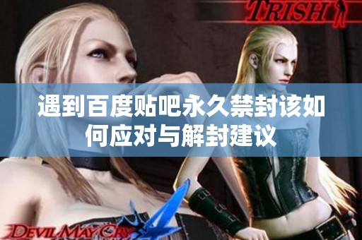 遇到百度贴吧永久禁封该如何应对与解封建议