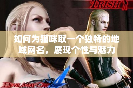 如何为猫咪取一个独特的地域网名，展现个性与魅力