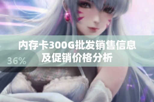 内存卡300G批发销售信息及促销价格分析