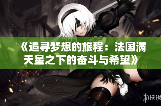 《追寻梦想的旅程：法国满天星之下的奋斗与希望》
