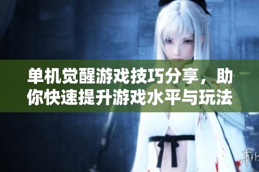 单机觉醒游戏技巧分享，助你快速提升游戏水平与玩法策略