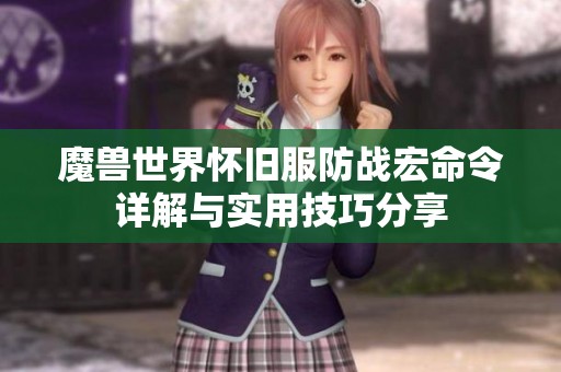 魔兽世界怀旧服防战宏命令详解与实用技巧分享