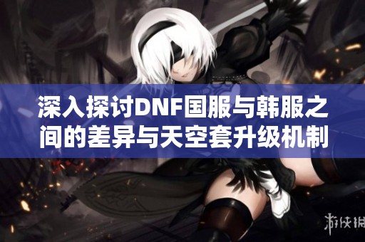 深入探讨DNF国服与韩服之间的差异与天空套升级机制