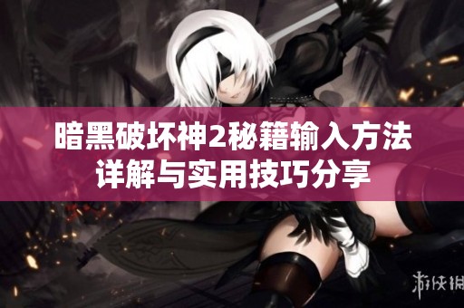 暗黑破坏神2秘籍输入方法详解与实用技巧分享