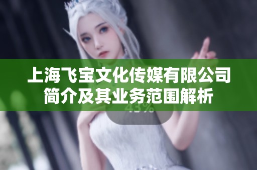 上海飞宝文化传媒有限公司简介及其业务范围解析
