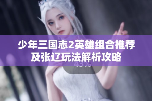少年三国志2英雄组合推荐及张辽玩法解析攻略