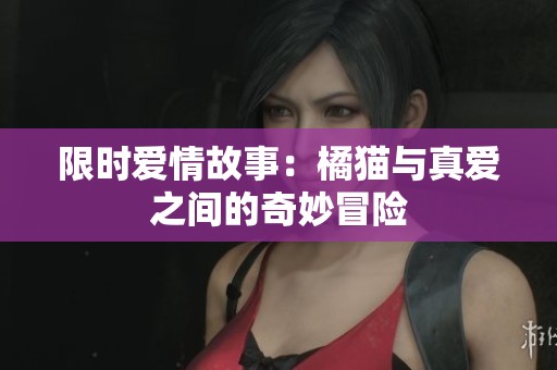 限时爱情故事：橘猫与真爱之间的奇妙冒险