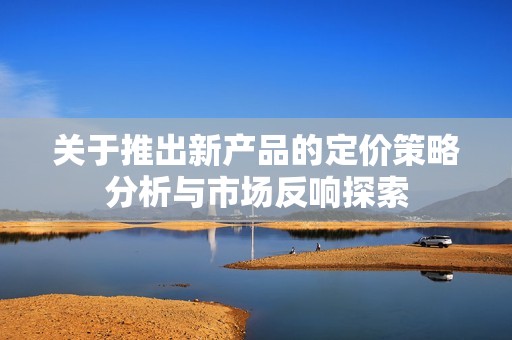 关于推出新产品的定价策略分析与市场反响探索