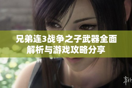 兄弟连3战争之子武器全面解析与游戏攻略分享