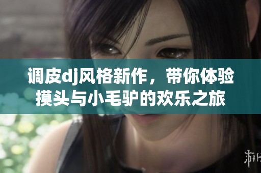调皮dj风格新作，带你体验摸头与小毛驴的欢乐之旅