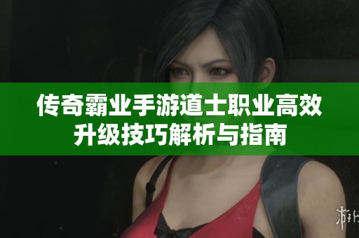 传奇霸业手游道士职业高效升级技巧解析与指南