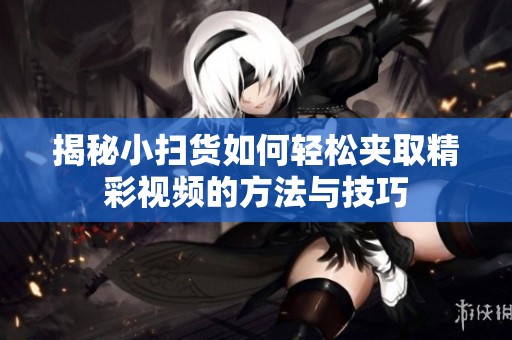 揭秘小扫货如何轻松夹取精彩视频的方法与技巧