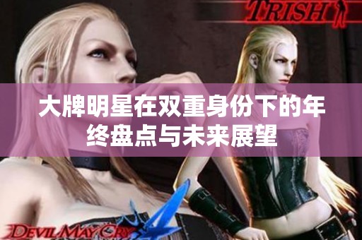 大牌明星在双重身份下的年终盘点与未来展望