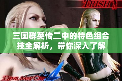 三国群英传二中的特色组合技全解析，带你深入了解