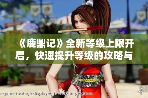 《鹿鼎记》全新等级上限开启，快速提升等级的攻略与技巧揭秘