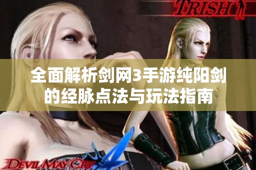 全面解析剑网3手游纯阳剑的经脉点法与玩法指南