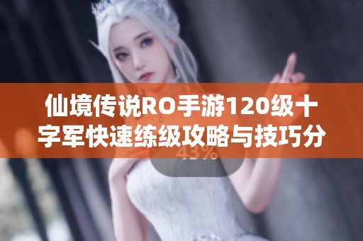 仙境传说RO手游120级十字军快速练级攻略与技巧分享