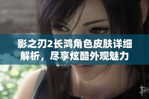 影之刃2长鸿角色皮肤详细解析，尽享炫酷外观魅力