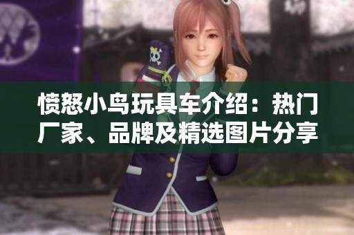 愤怒小鸟玩具车介绍：热门厂家、品牌及精选图片分享