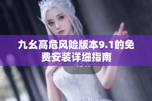九幺高危风险版本9.1的免费安装详细指南