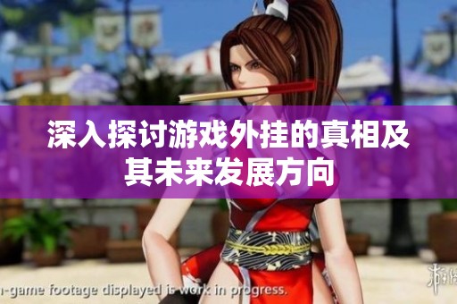 深入探讨游戏外挂的真相及其未来发展方向