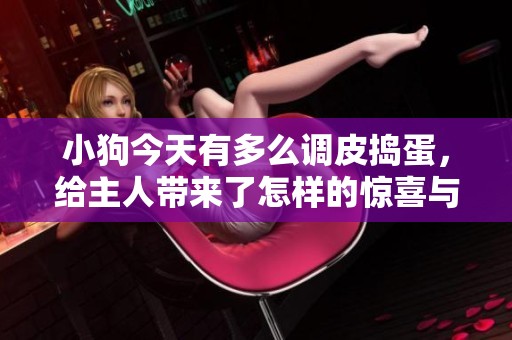 小狗今天有多么调皮捣蛋，给主人带来了怎样的惊喜与欢笑