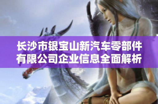 长沙市银宝山新汽车零部件有限公司企业信息全面解析与行业现状分析