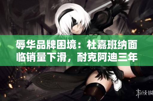 辱华品牌困境：杜嘉班纳面临销量下滑，耐克阿迪三年关店数量激增