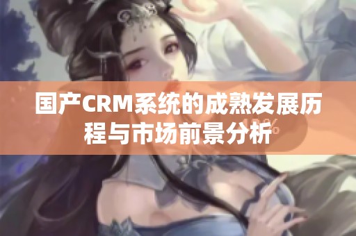 国产CRM系统的成熟发展历程与市场前景分析