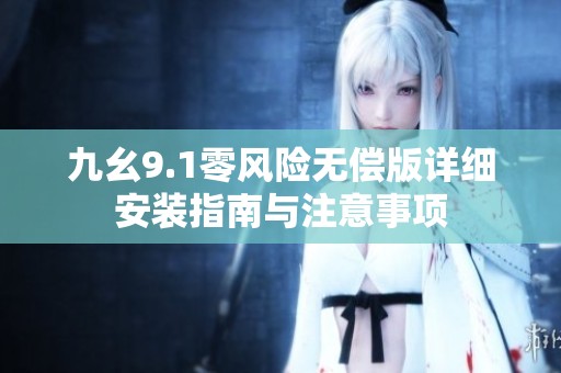 九幺9.1零风险无偿版详细安装指南与注意事项