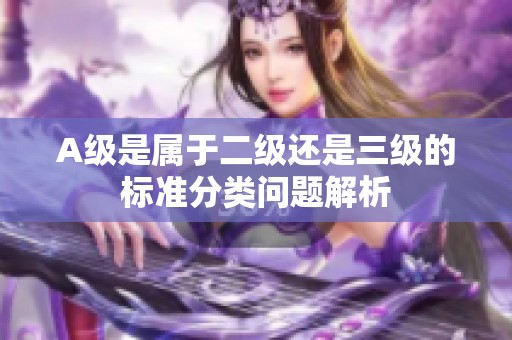 A级是属于二级还是三级的标准分类问题解析