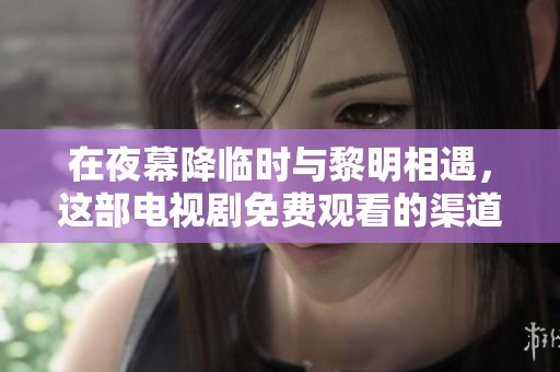 在夜幕降临时与黎明相遇，这部电视剧免费观看的渠道分享