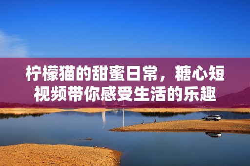 柠檬猫的甜蜜日常，糖心短视频带你感受生活的乐趣